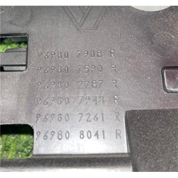 LUZ INTERIOR TECHO 969807908R 969820881R 