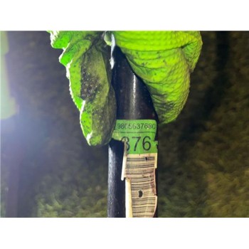 Recambio de barra estabilizadora para citroën jumpy furgón (05.2016) 1.6 confort m [1,6 ltr. - 85 kw blue-hdi fap] referencia OE