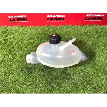 BOTELLA EXPANSION 217100015R 