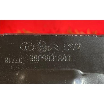 FRENO PUERTA 9809831880 