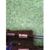 Recambio de varillaje cambio para renault trafic iii furgón m9r z7 referencia OEM IAM 344133490r  