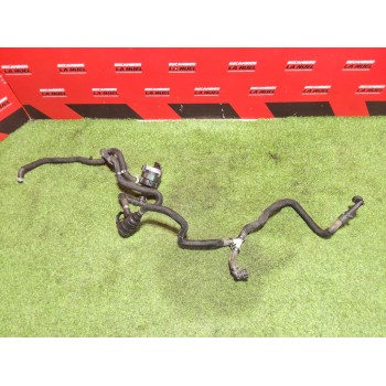 Recambio de bomba agua para renault kangoo iii monospace blue dci 95 (kjab) referencia OEM IAM   