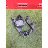 Recambio de cinturon seguridad delantero derecho para renault master iii furgoneta (fv) 2.3 dci 125 fwd (fv0c, fv0d, fv0g, fv0h,