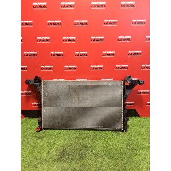 RADIADOR AGUA 214005447r 214108535R 