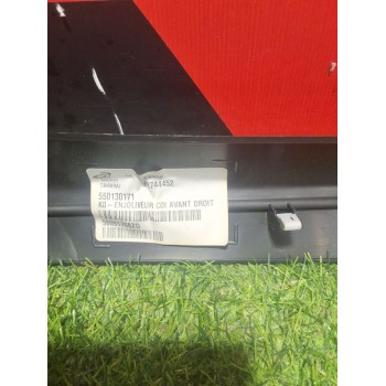 Recambio de plastico interiro puerta delantera derecha para citroën jumpy iii furgoneta (v_) 1.5 bluehdi 120 referencia OEM IAM 