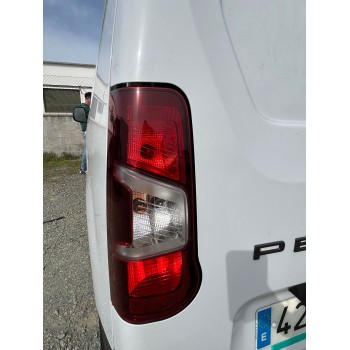 PILOTO TRASERO IZQUIERDO 9819235880 