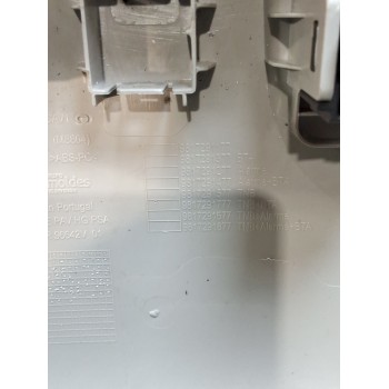 Recambio de consola central delantera techo para peugeot partner furgoneta/monovolumen (k9) 1.5 bluehdi 100 referencia OEM IAM 9