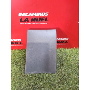 MOLDURA PUERTA DELANTERA IZQUIERDA A9106900400 A9106908301 