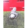 Recambio de motor arranque para renault kangoo iii monospace blue dci 95 (kjab) referencia OEM IAM 233003759R  