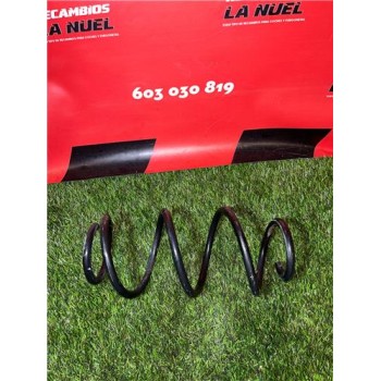 MUELLE AMORTIGUACION 