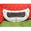 Recambio de capot delantero para renault kangoo iii monospace blue dci 95 (kjab) referencia OEM IAM 651007840R  