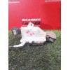 Recambio de cerradura puerta delantera izquierda para peugeot partner furgoneta/monovolumen 1.6 hdi / bluehdi 75 referencia OEM 