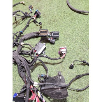 Recambio de instalacion electrica motor para renault kangoo iii monospace blue dci 95 (kjab) referencia OEM IAM 149572654R 24011