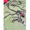 Recambio de instalacion electrica salpicadero para renault kangoo iii monospace blue dci 95 (kjab) referencia OEM IAM 242966734R