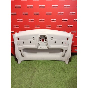 TECHO INTERIOR 98172141BJ 