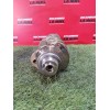Recambio de cigueñal para fiat ducato furgoneta (250_) 130 multijet 2,3 d referencia OEM IAM 0005802744466  