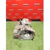 Recambio de caja cambios para citroën jumper iii furgoneta 2.2 hdi 130 referencia OEM IAM 20GP17 9838851480 