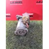 Recambio de motor arranque para renault master iii furgoneta (fv) 2.3 dci 125 fwd (fv0c, fv0d, fv0g, fv0h, fv0j, fv0k) referenci