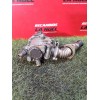 Recambio de valvula egr para fiat ducato furgoneta (250_) 150 multijet 2,3 d referencia OEM IAM 5802061033  