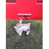 Recambio de tubo para peugeot partner furgoneta/monovolumen (k9) 1.5 bluehdi 100 referencia OEM IAM 9821154280  