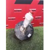 Recambio de servofreno para fiat doblo autobús (263_) 1.6 d multijet (263axn1b) referencia OEM IAM 52087502  