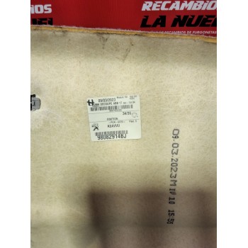 Recambio de techo interior para peugeot expert furgoneta (v_) 2.0 bluehdi 120 referencia OEM IAM 98082914BJ  
