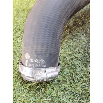Recambio de tubo para peugeot expert furgoneta (v_) 2.0 bluehdi 120 referencia OEM IAM 9806788380 9821687780 