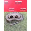 Recambio de pinza freno delantera izquierda para citroën jumper iii furgoneta 2.2 bluehdi 140 referencia OEM IAM 22941900  