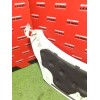 Recambio de capo para ford transit custom v362 furgoneta (fy, fz) 2.2 tdci referencia OEM IAM   