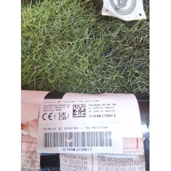 Recambio de airbag cortina delantero derecho para citroën berlingo furgón/monospace (k9) 1.5 bluehdi 100 referencia OEM IAM 9817