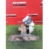 Recambio de turbo para citroën jumper iii furgoneta 2.2 bluehdi 140 referencia OEM IAM 9812386080 53031015182 53031013699