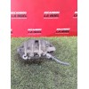 Recambio de pinza freno delantera derecha para peugeot expert furgoneta (vf3a_, vf3u_, vf3x_) 1.6 hdi 90 8v referencia OEM IAM 1