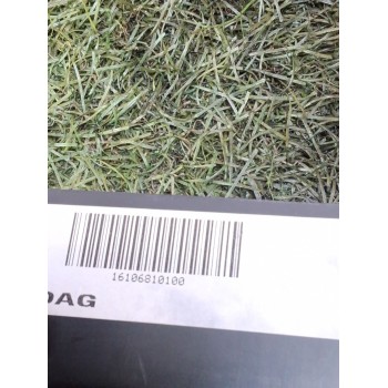 Recambio de moldura para opel vivaro c furgoneta (k0) 2.0 referencia OEM IAM 9812403377 16106810100 