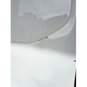 Recambio de puerta trasera derecha para ford transit v363 furgoneta (fcd, fdd) 2.0 ecoblue referencia OEM IAM   