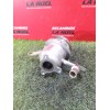 Recambio de enfriador egr para renault kangoo / grand kangoo ii (kw0/1_) 1.5 dci 80 (kw15) referencia OEM IAM 147359823R  