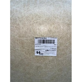 Recambio de techo para peugeot partner tepee (05.2008) yh01 referencia OEM IAM 98172141BJ  