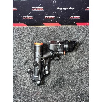 TERMOSTATO 110600686R 