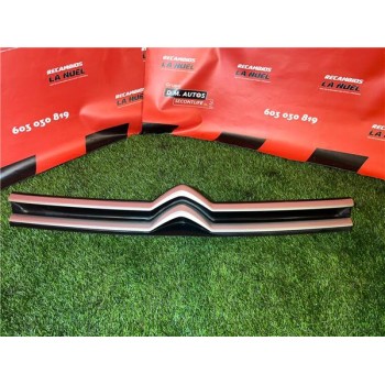 REJILLA PARAGOLPES DELANTERO 9811789377 