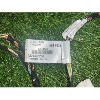 Recambio de techo para citroën jumpy furgón (05.2016) 2.0 control m [2,0 ltr. - 90 kw blue-hdi fap] referencia OEM IAM 98082914B