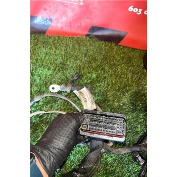 Recambio de instalacion electrica motor para citroën jumpy furgón (05.2016) 1.5 control m [1,5 ltr. - 75 kw blue-hdi fap] refere