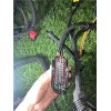 Recambio de instalacion electrica motor para citroën jumpy furgón (05.2016) 2.0 control m [2,0 ltr. - 90 kw blue-hdi fap] refere