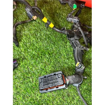 Recambio de instalacion electrica motor para citroën jumpy furgón (05.2016) 2.0 control m [2,0 ltr. - 90 kw blue-hdi fap] refere