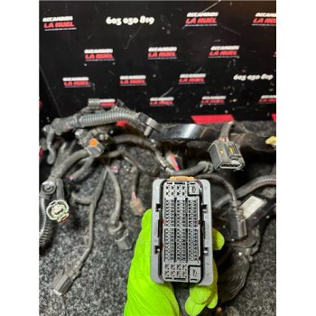 Recambio de instalacion electrica motor para citroën berlingo furgón (09.2018) 1.5 berlingo m [1,5 ltr. - 75 kw blue-hdi fap] re