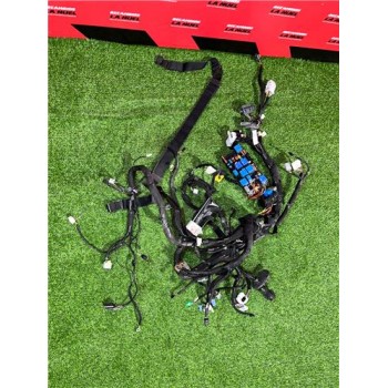 Recambio de instalacion electrica motor para renault kangoo iii rapid (03.2021) kangoo referencia OEM IAM 240183599V 242966111R 