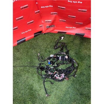 Recambio de instalacion electrica motor para renault kangoo iii rapid (03.2021) kangoo referencia OEM IAM 8200222257  