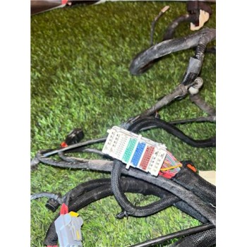 Recambio de instalacion electrica motor para renault kangoo iii rapid (03.2021) kangoo referencia OEM IAM 8200222257  