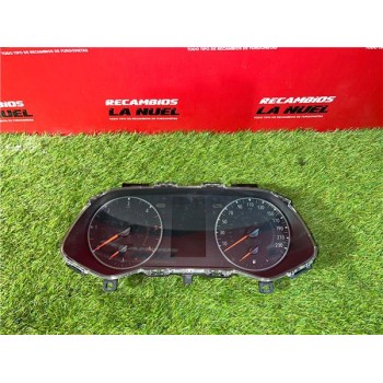 CUADRO INSTRUMENTOS 248091015R 